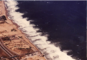 Image showing a series of rip currents (~100m apart)
